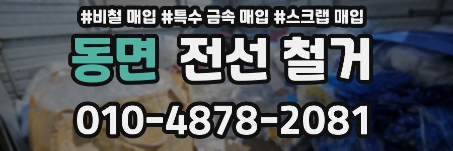 동면 전선 철거