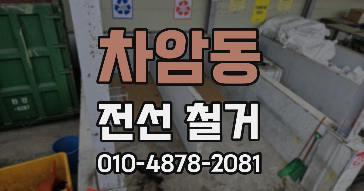 차암동 전선 철거