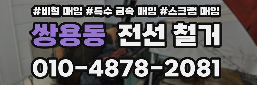 쌍용동 전선 철거