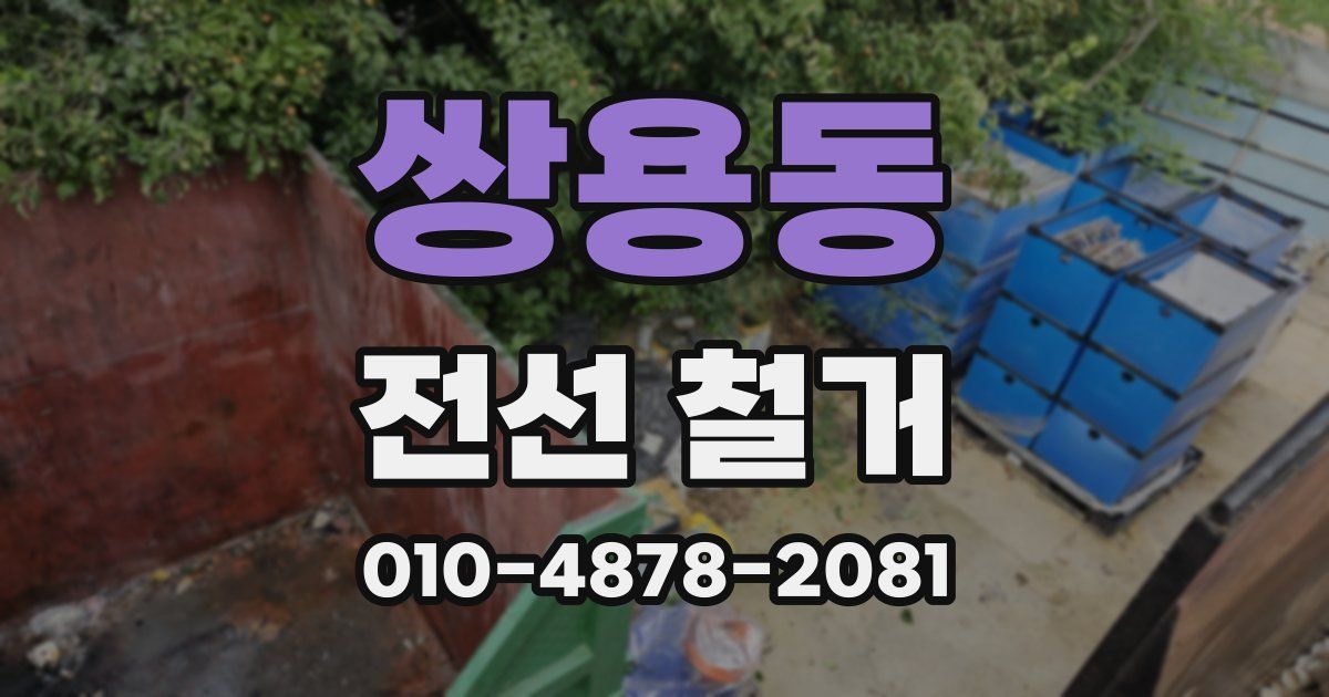 쌍용동 전선 철거