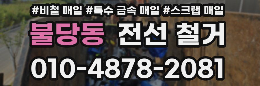 불당동 전선 철거
