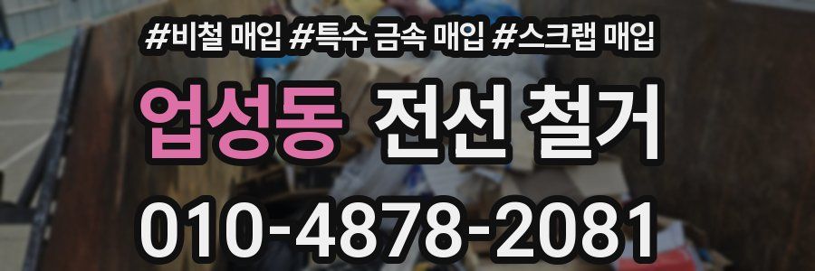 업성동 전선 철거
