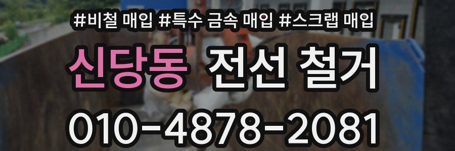신당동 전선 철거