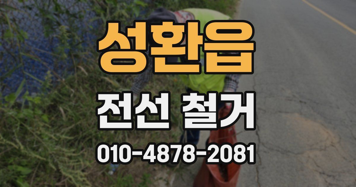 성환읍 전선 철거