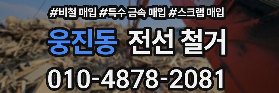 웅진동 전선 철거