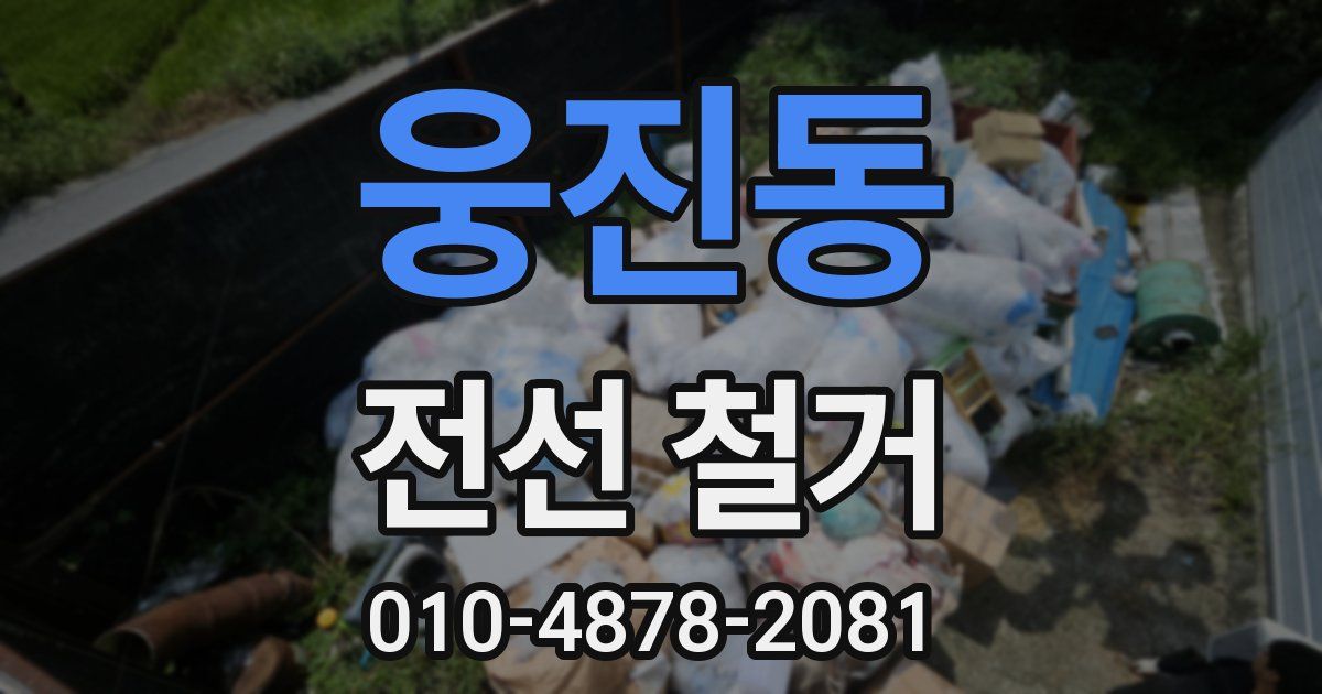 웅진동 전선 철거