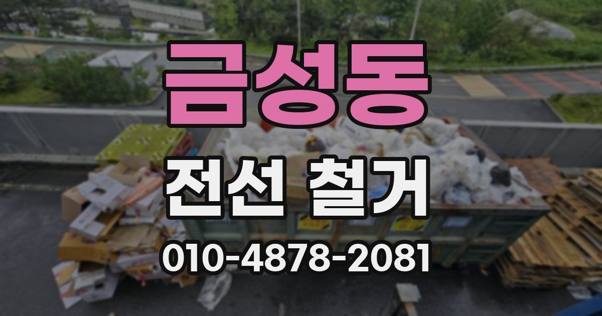 금성동 전선 철거