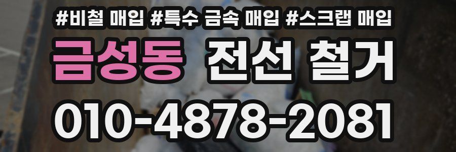 금성동 전선 철거