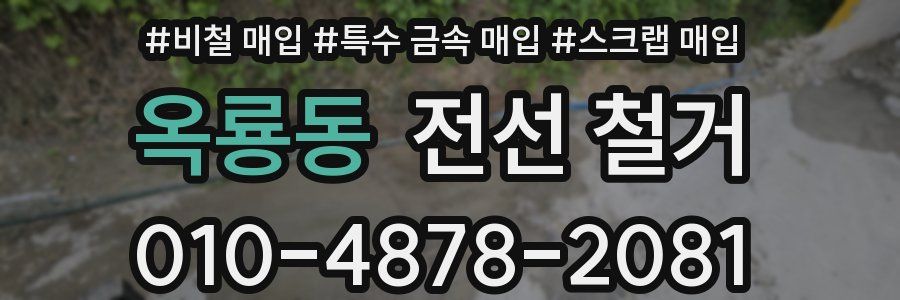 옥룡동 전선 철거