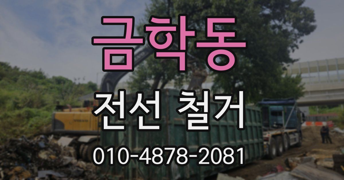 금학동 전선 철거