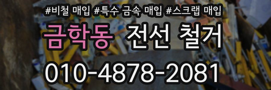 금학동 전선 철거