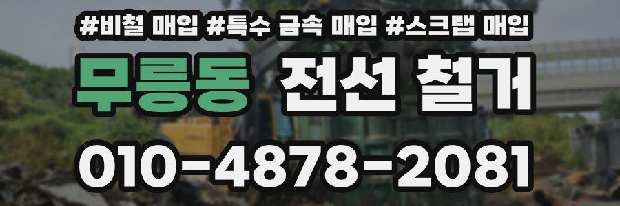 무릉동 전선 철거
