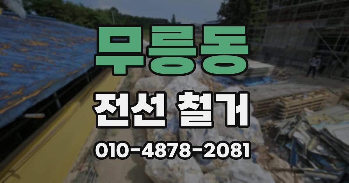 무릉동 전선 철거