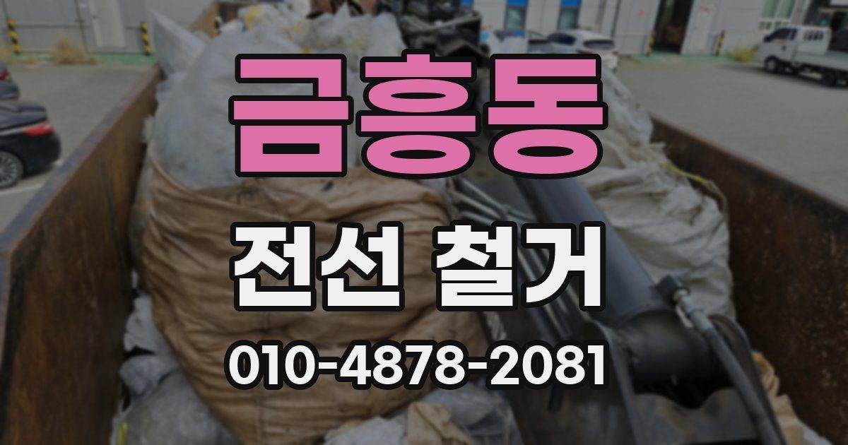 금흥동 전선 철거