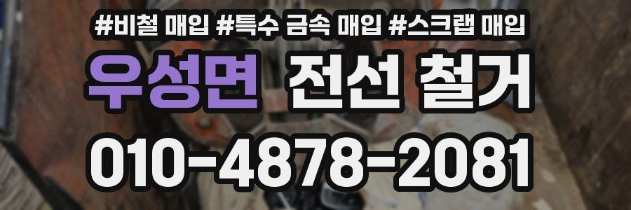 우성면 전선 철거