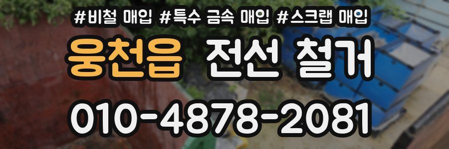 웅천읍 전선 철거