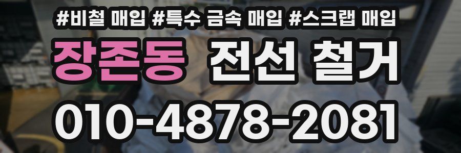 장존동 전선 철거