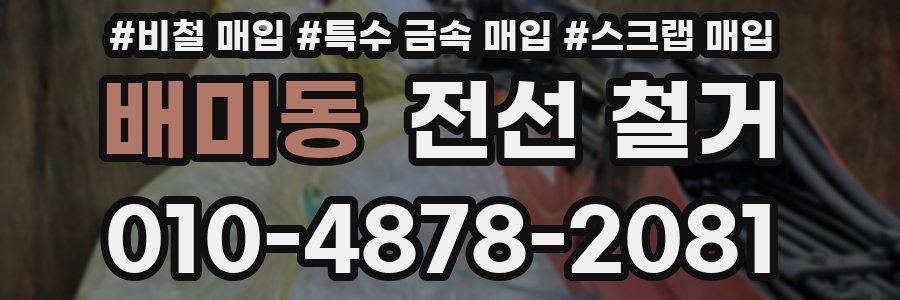 배미동 전선 철거