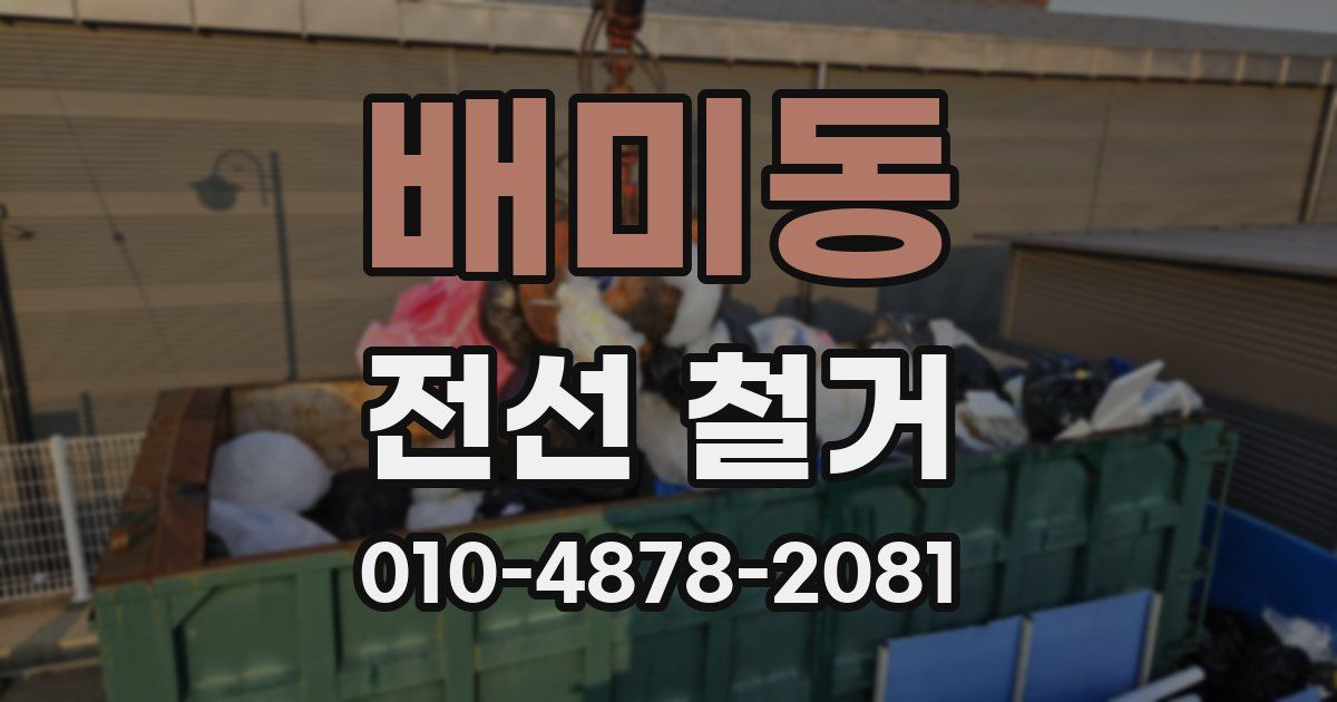 배미동 전선 철거