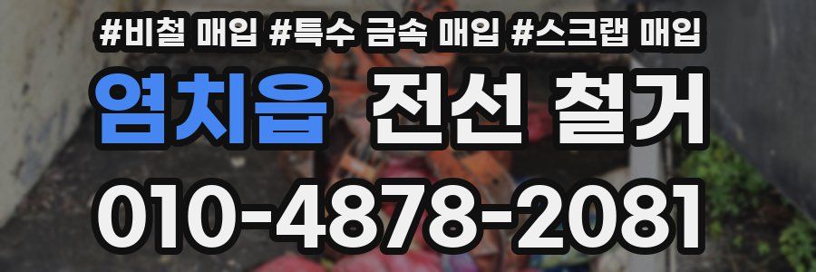 염치읍 전선 철거