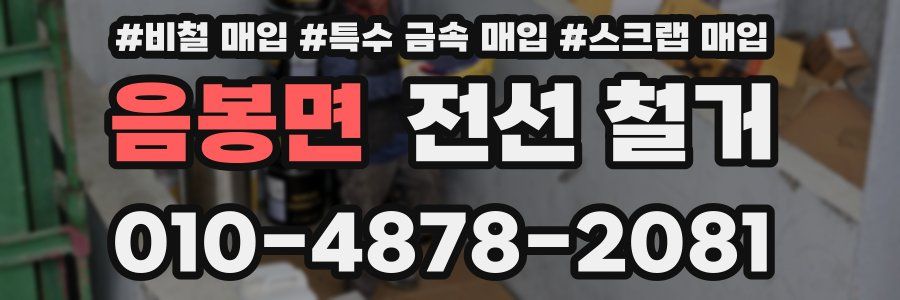 음봉면 전선 철거