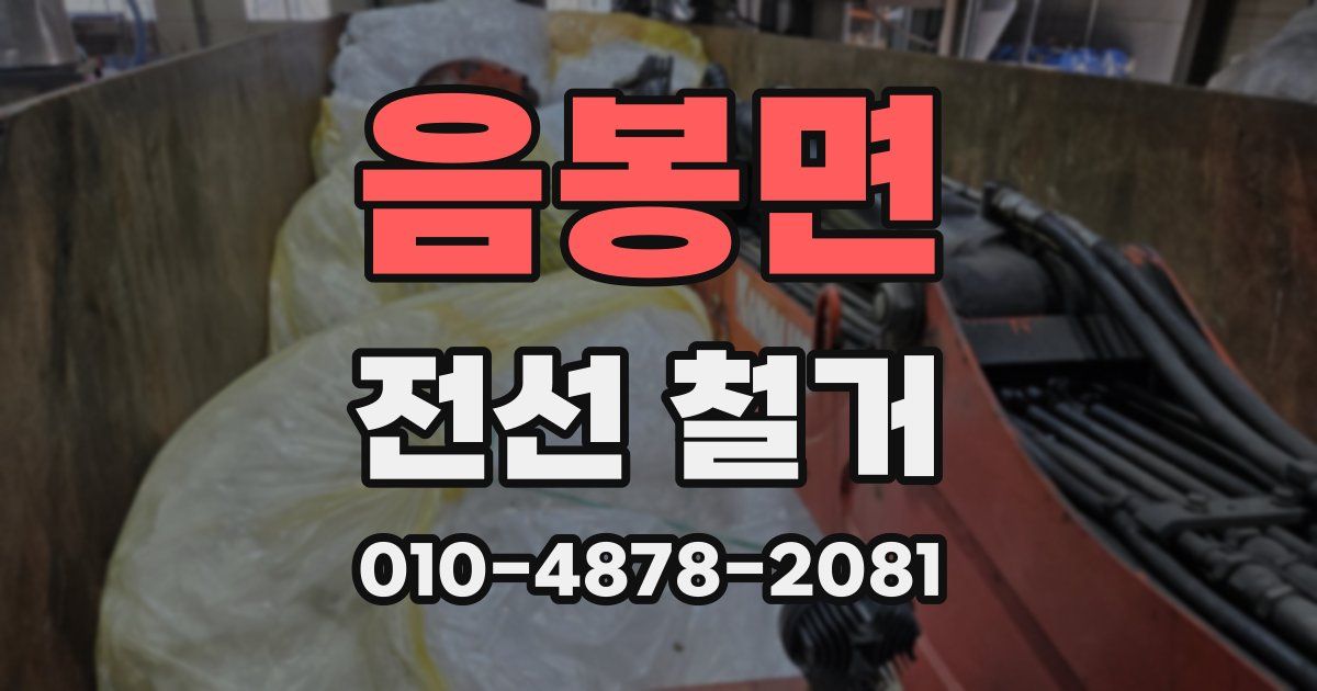 음봉면 전선 철거