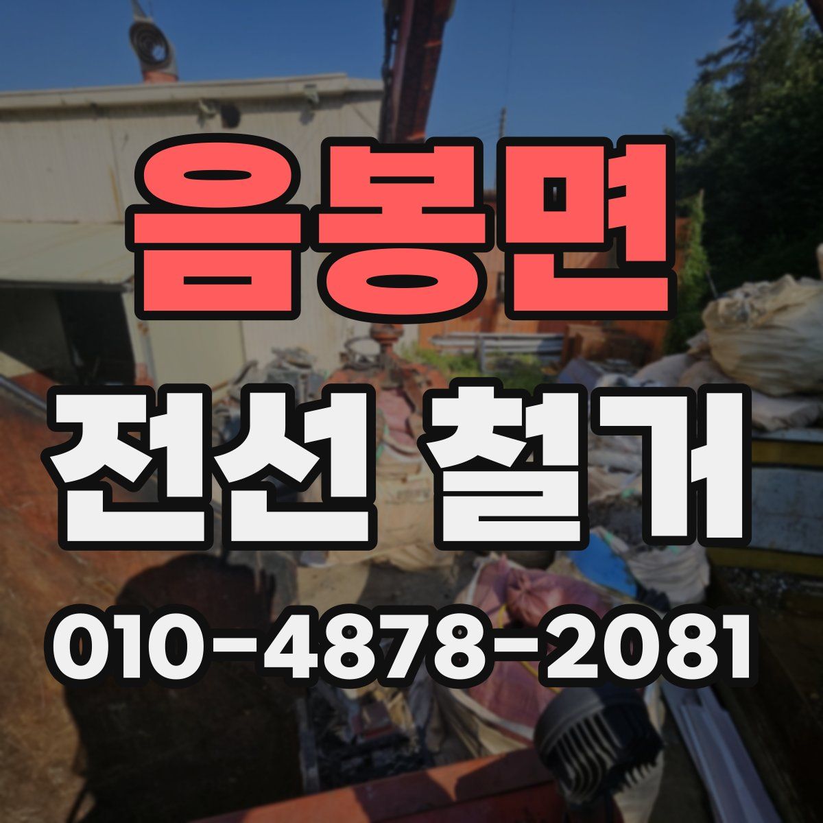 음봉면 전선 철거