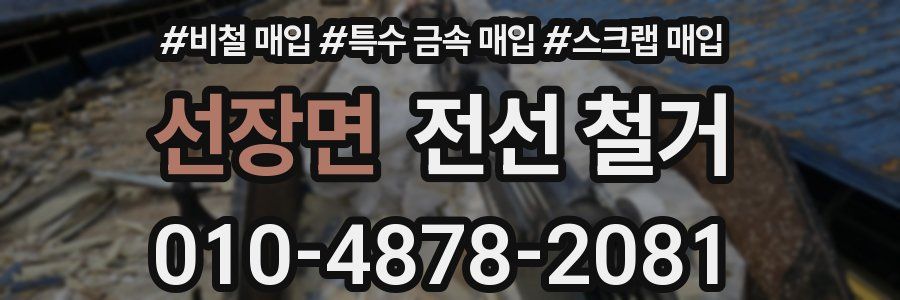 선장면 전선 철거