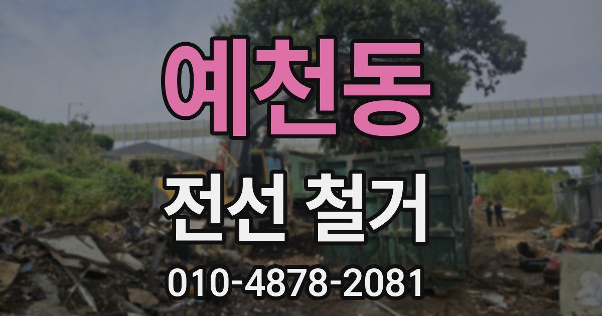 예천동 전선 철거