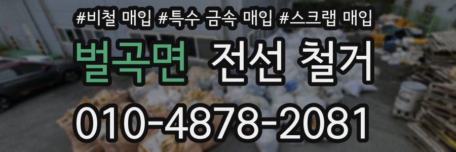 벌곡면 전선 철거