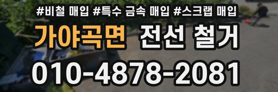 가야곡면 전선 철거