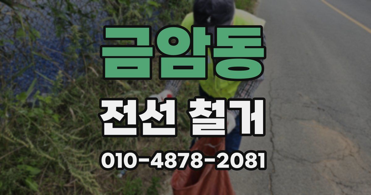 금암동 전선 철거