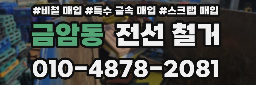 금암동 전선 철거