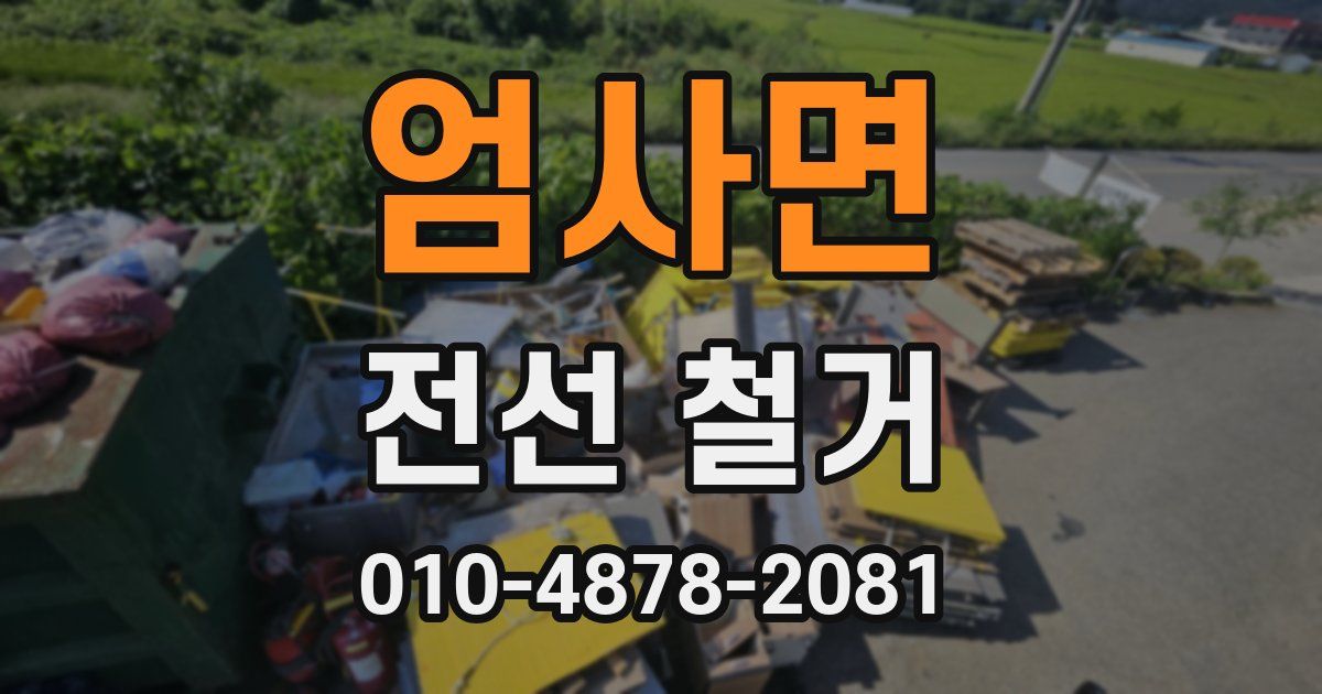 엄사면 전선 철거