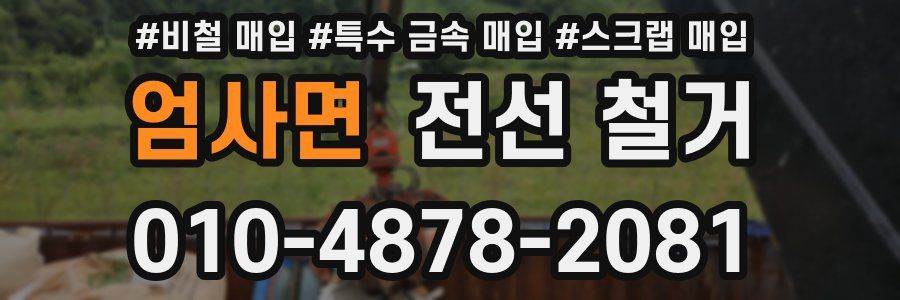 엄사면 전선 철거