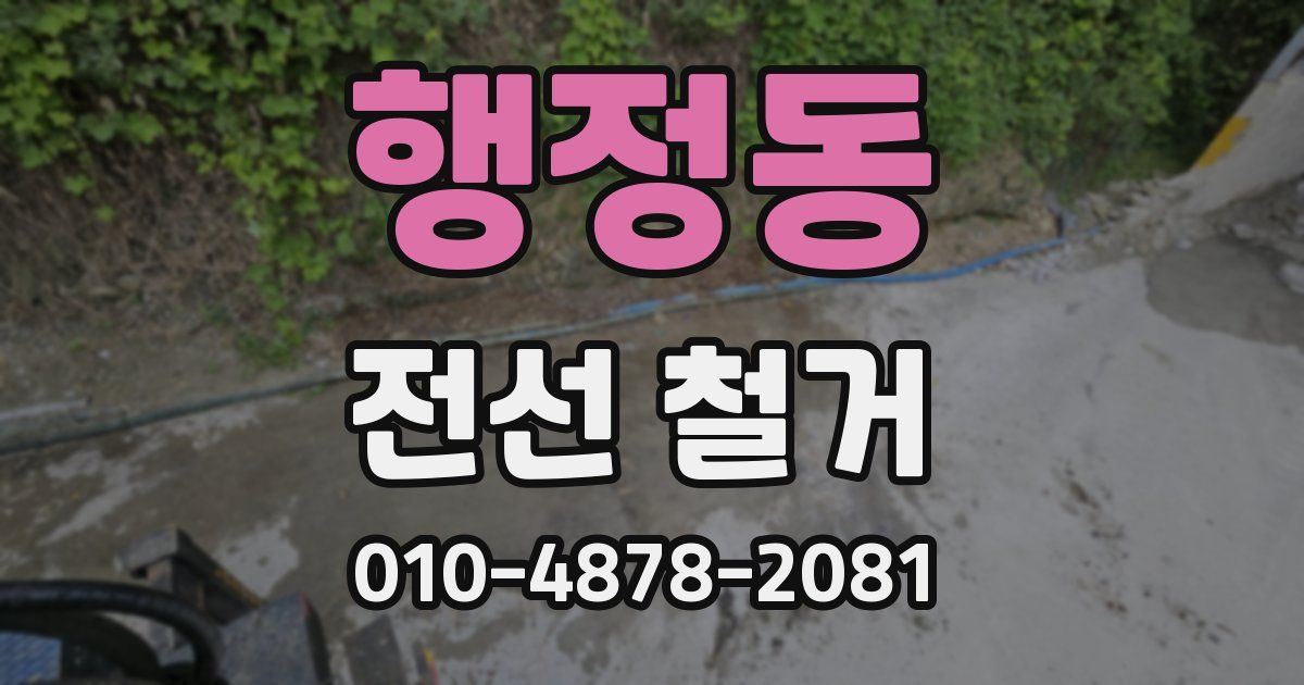 행정동 전선 철거