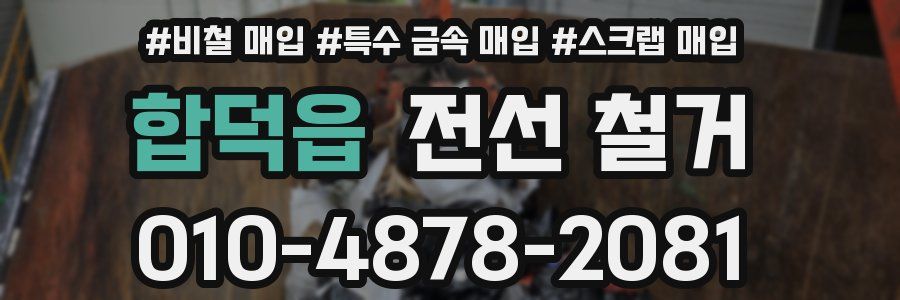 합덕읍 전선 철거
