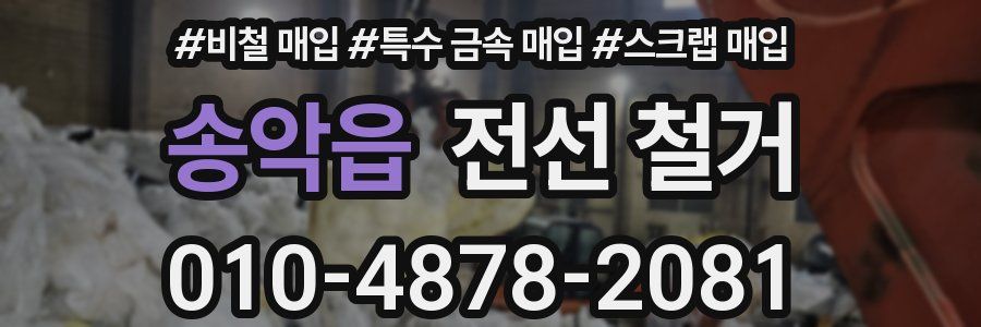 송악읍 전선 철거