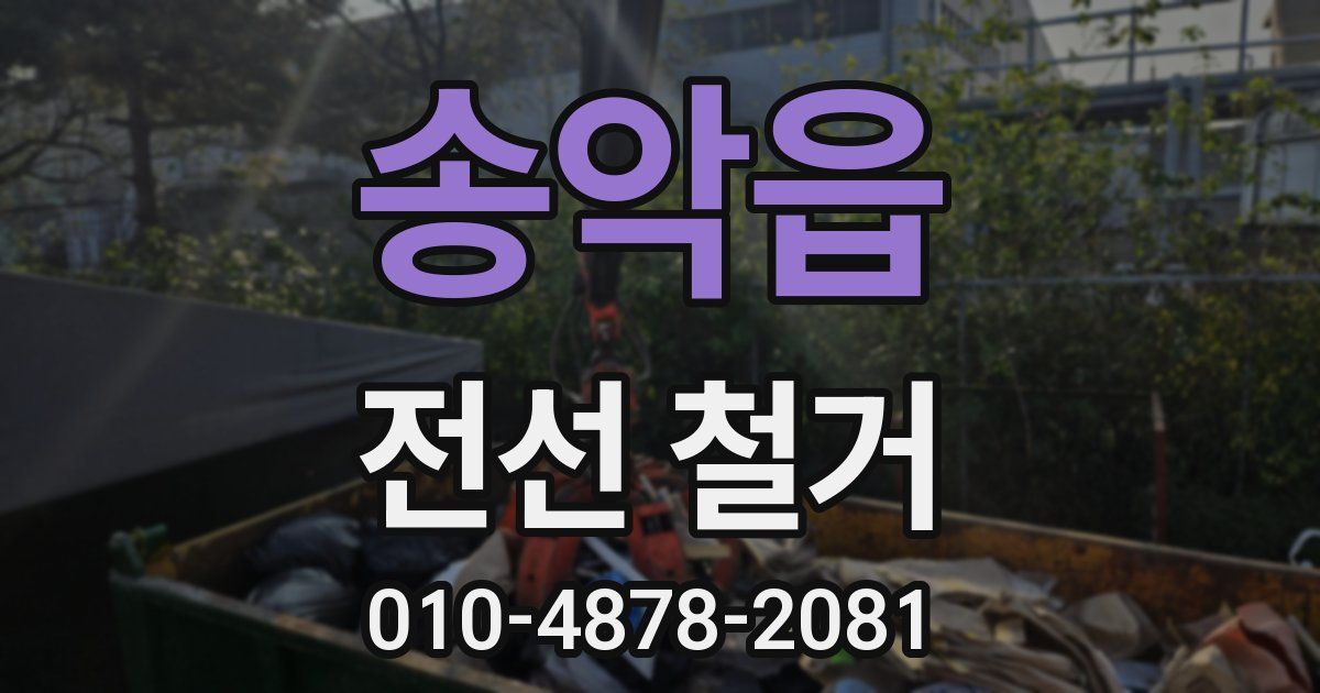 송악읍 전선 철거