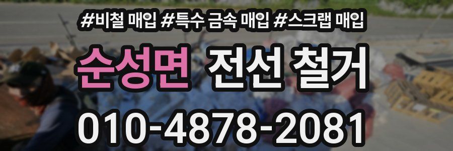 순성면 전선 철거