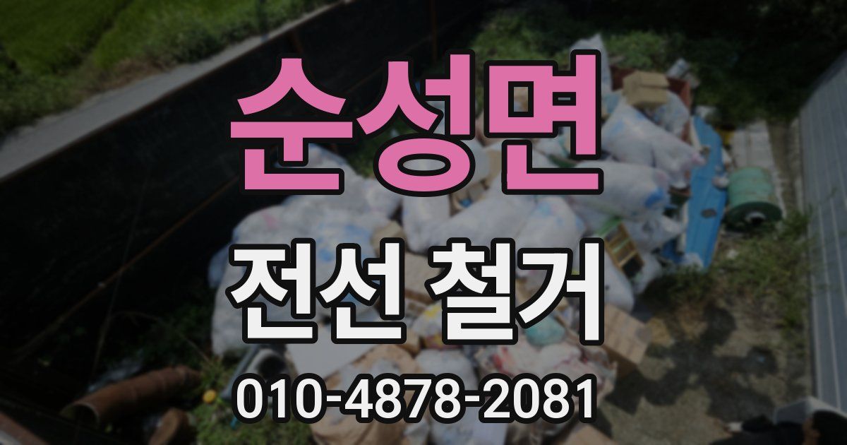 순성면 전선 철거