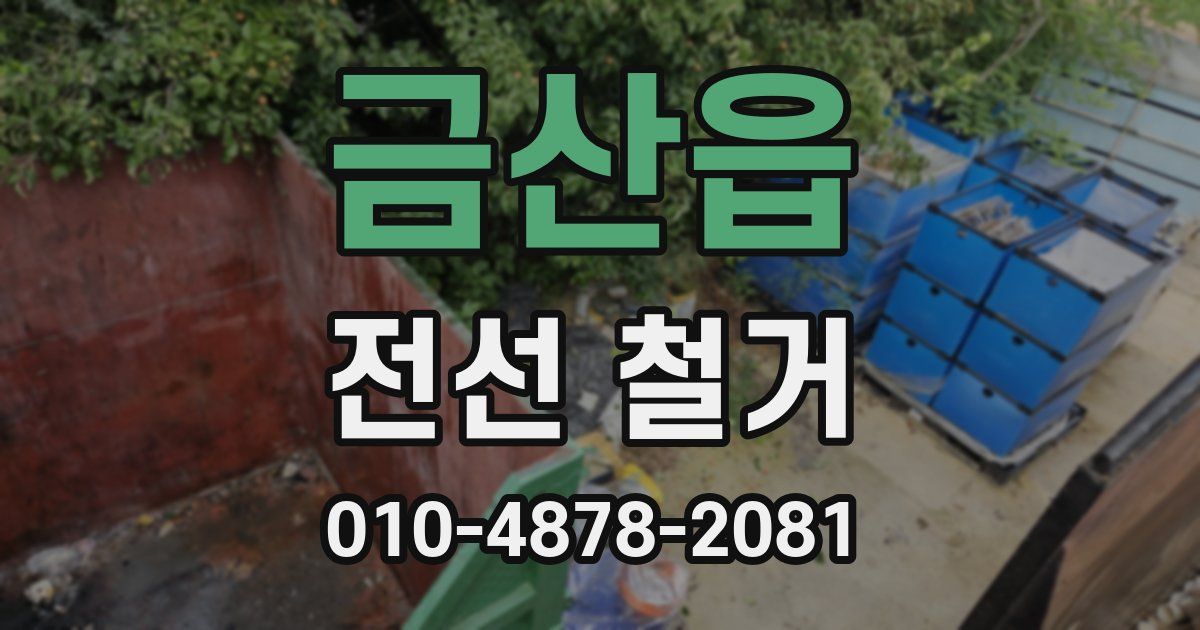 금산읍 전선 철거