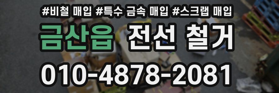 금산읍 전선 철거