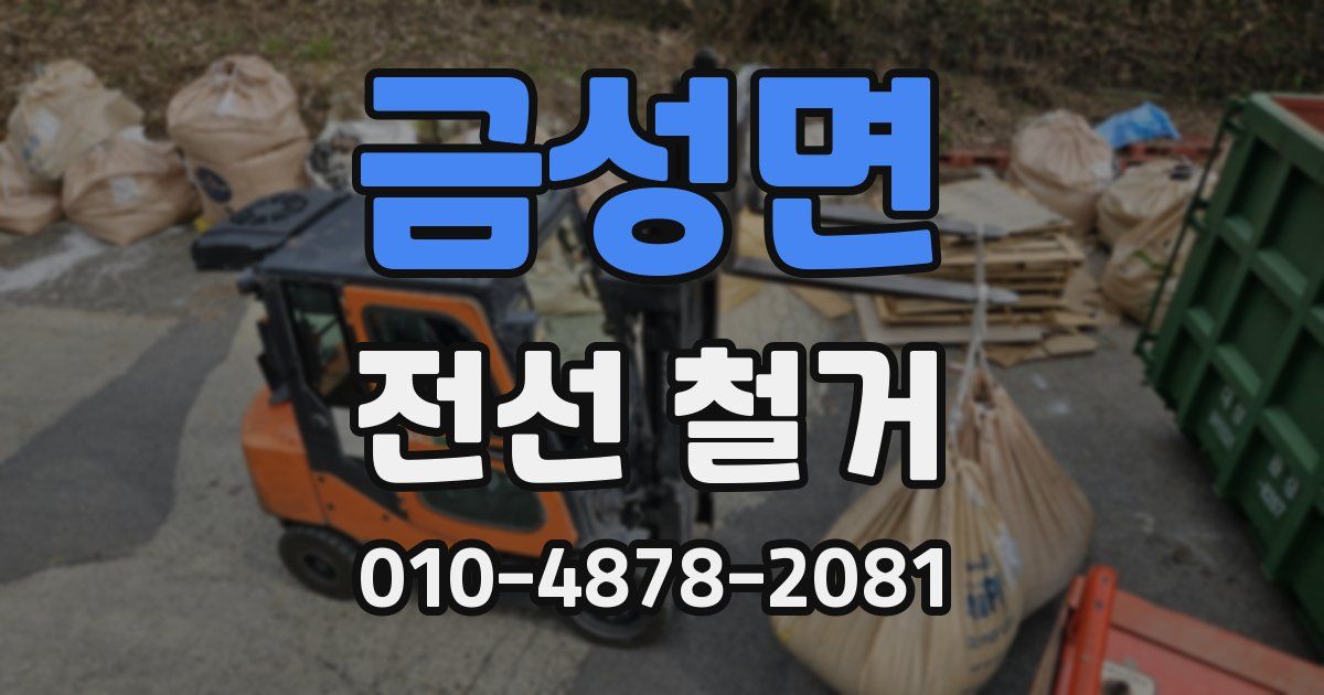 금성면 전선 철거
