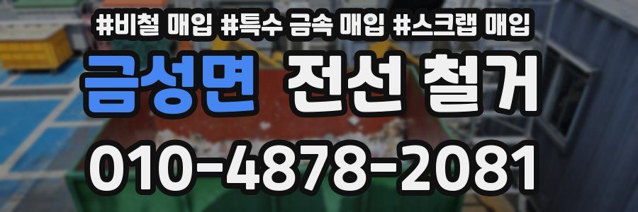 금성면 전선 철거