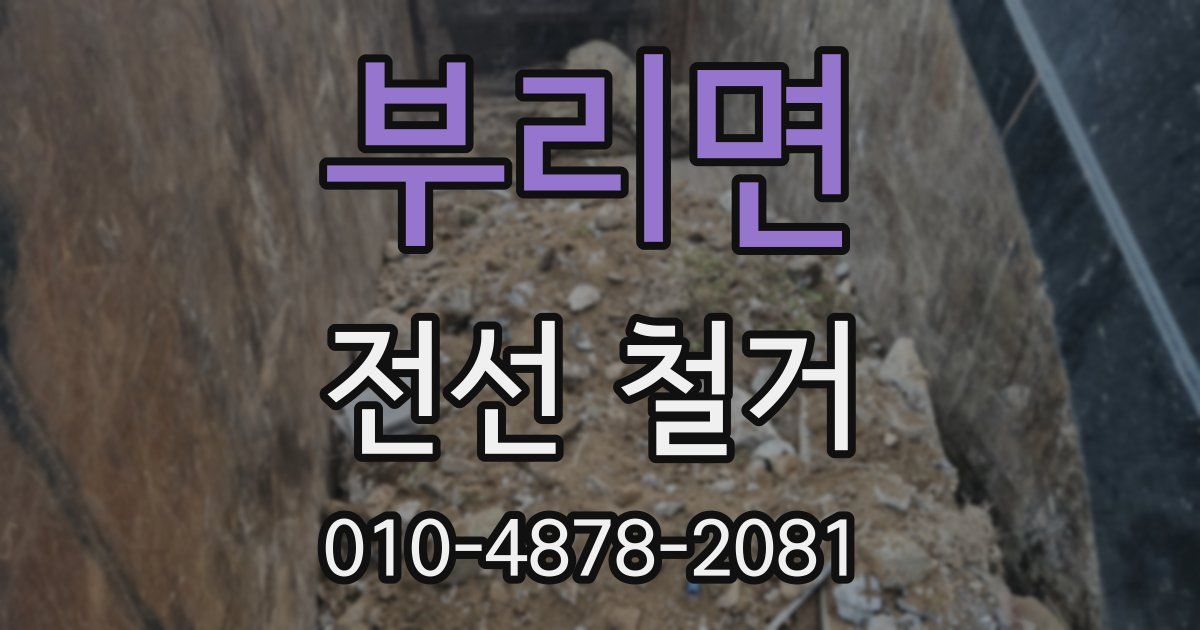 부리면 전선 철거
