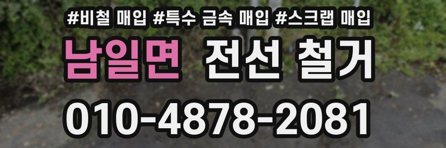 남일면 전선 철거