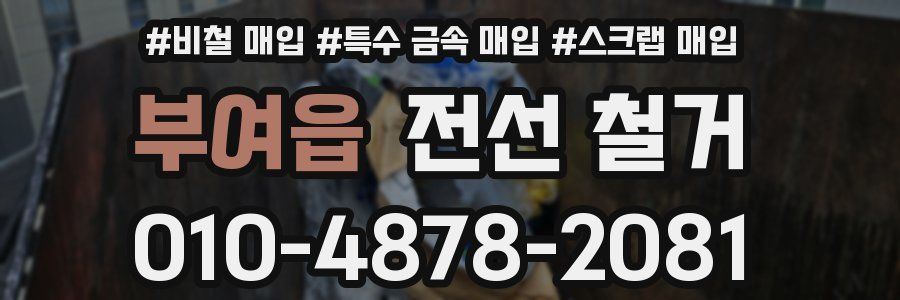 부여읍 전선 철거