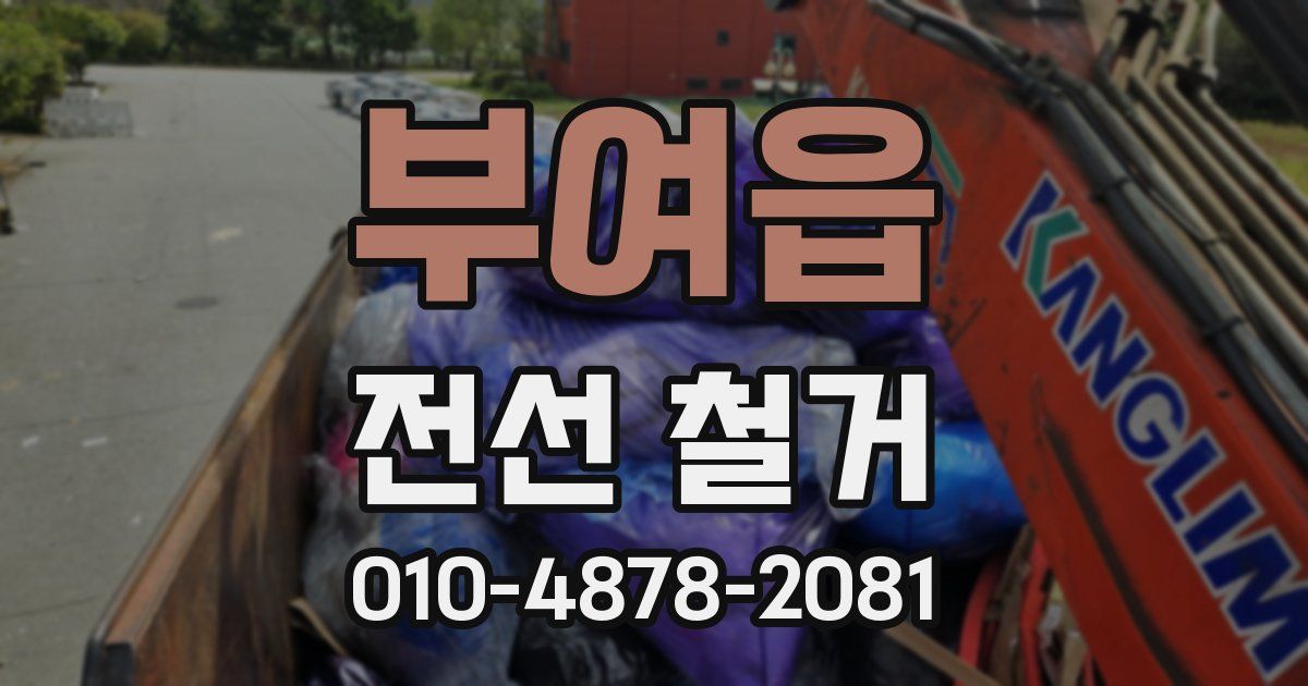 부여읍 전선 철거