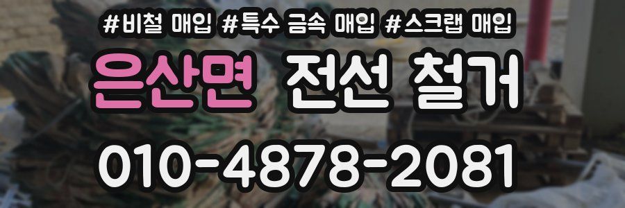 은산면 전선 철거